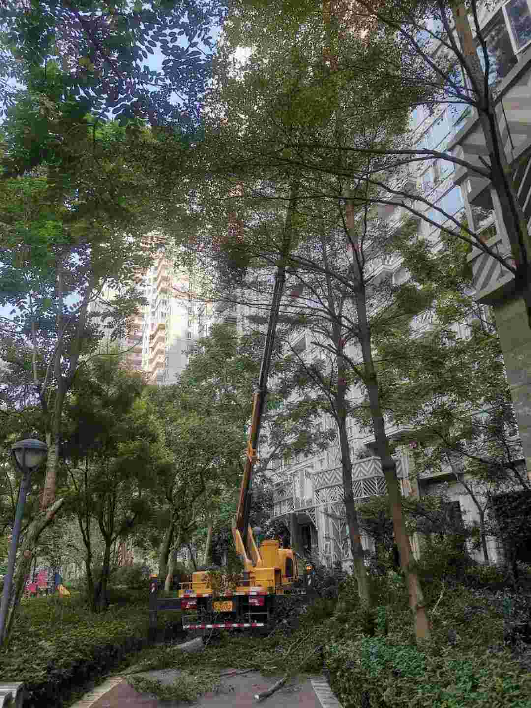 图片路径不存在