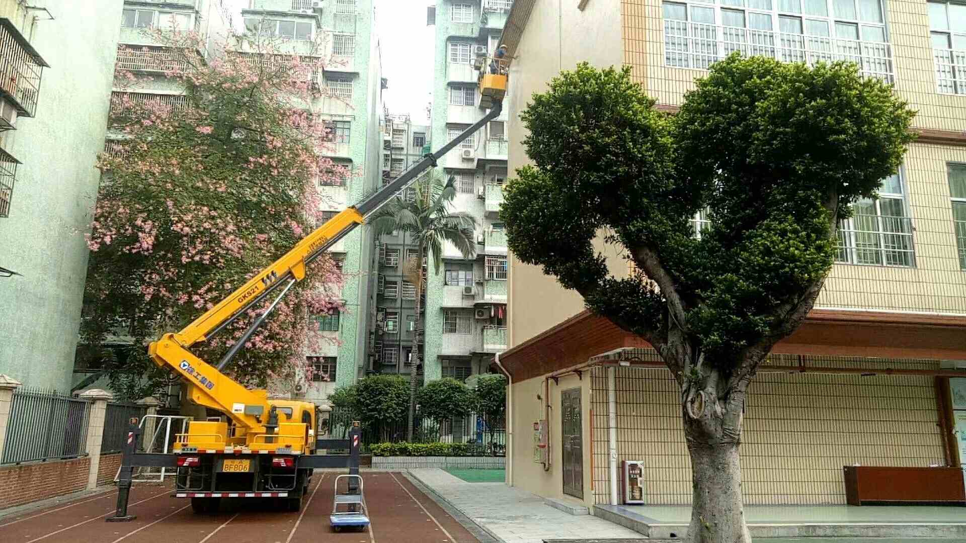 图片路径不存在
