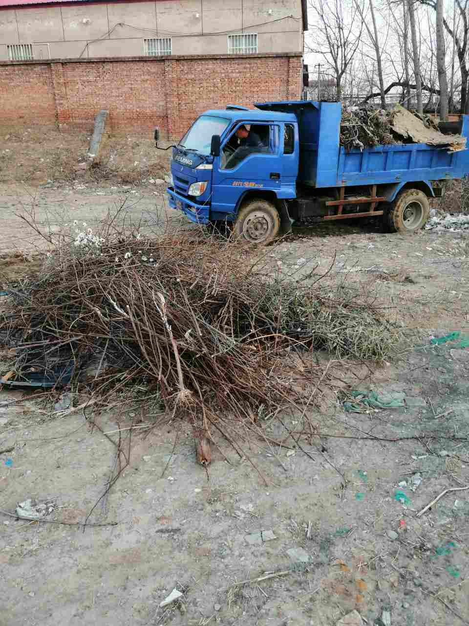 图片路径不存在