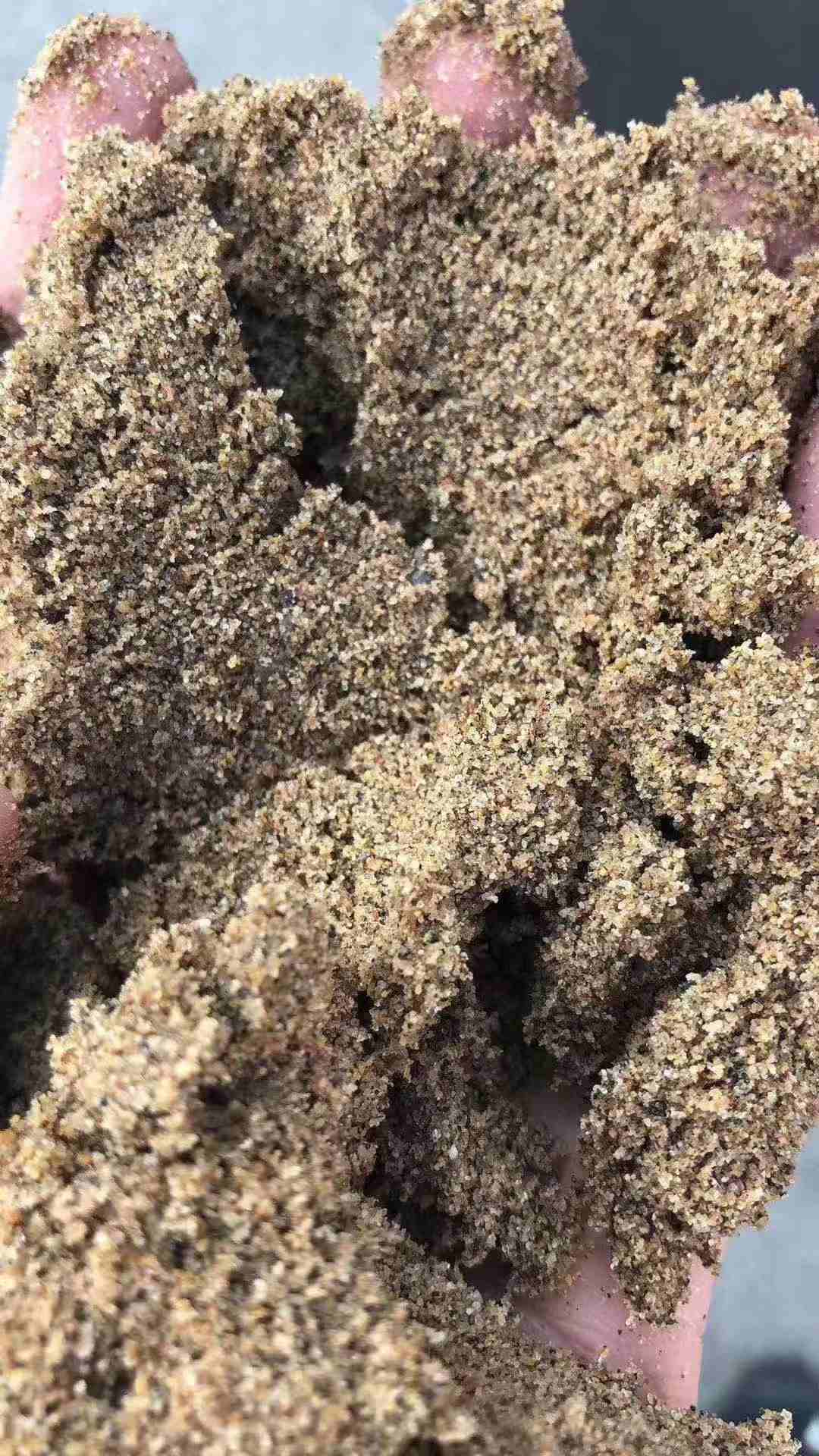 图片路径不存在
