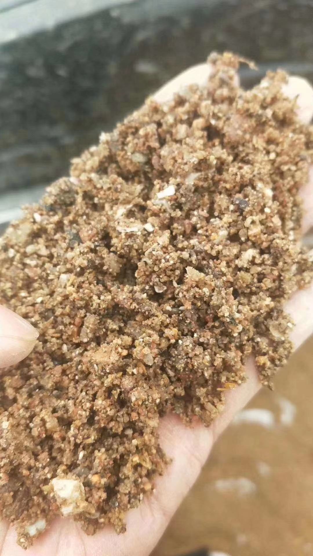 图片路径不存在