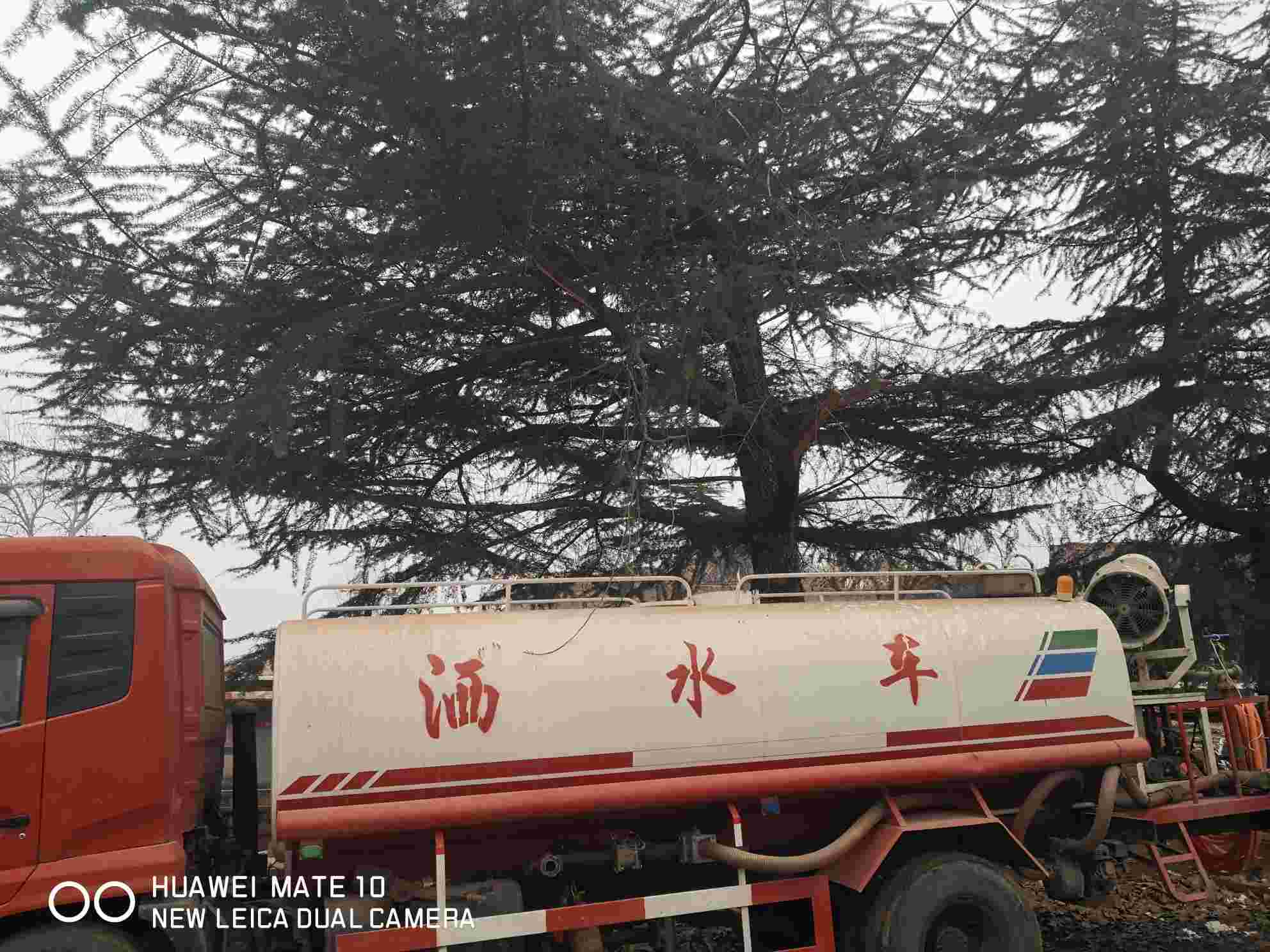 图片路径不存在