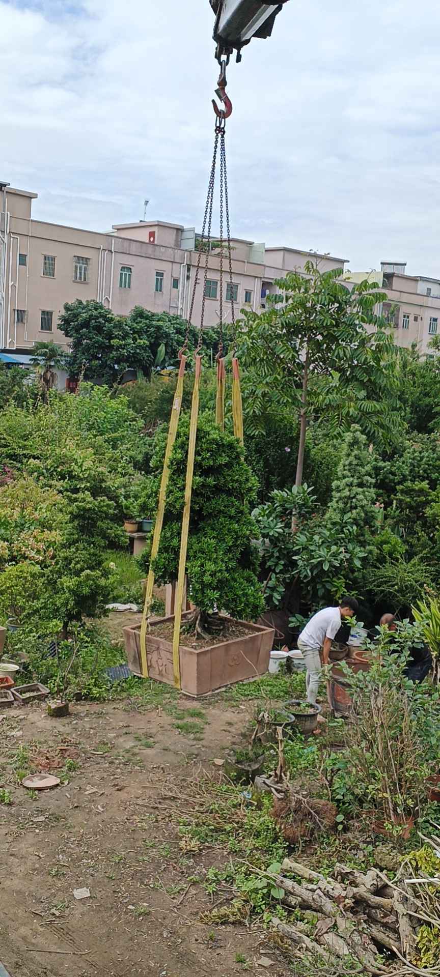 图片路径不存在