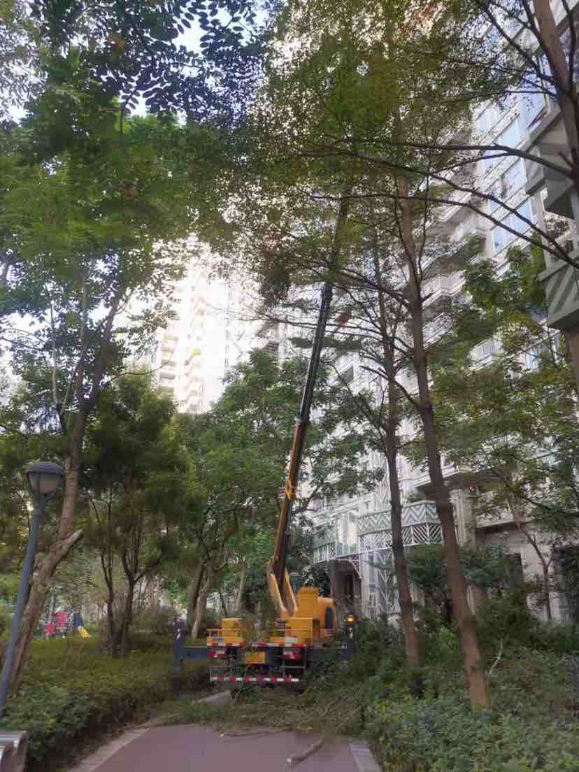 图片路径不存在